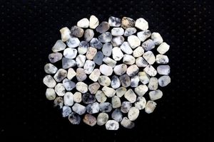 25 parça Plam taş kaba boyutu 10-12 MM doğal dendritik Opal yapma ham takı taş işlenmemiş Opal kaba temizle taş