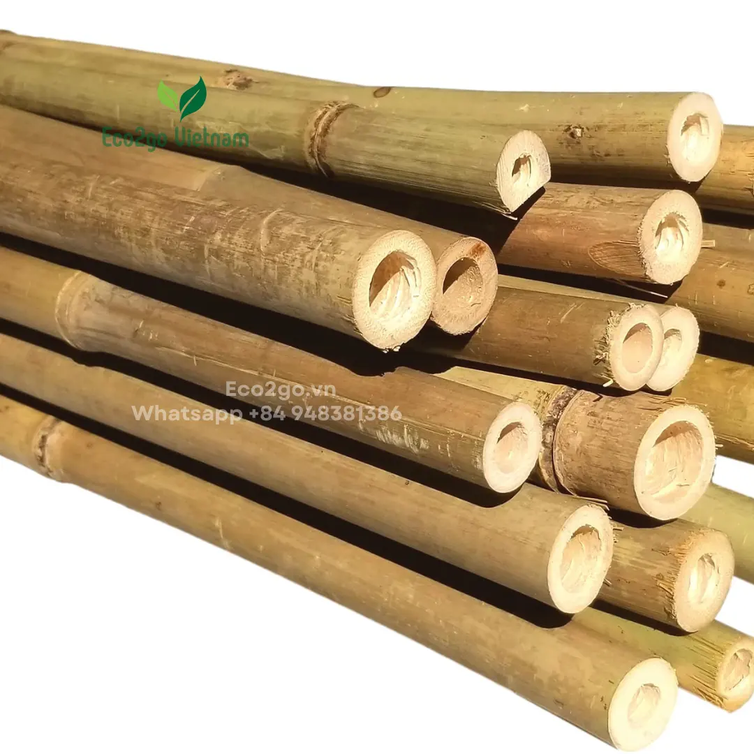 Premium bambu direk için toptan-yeşil/sarı bambu direk s Eco2go Vietnam tarafından yapılan doğrudan üretim düşük vergi/tedavi bambu