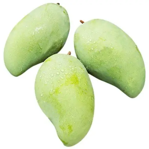 Mango fresco de Vietnam, mejor precio, alta calidad, 100% Natural, proveedor de Tailandia