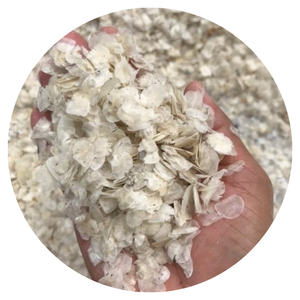 鱼干鳞片制造商/罗非鱼鳞片/SEABASS鱼鳞 - Product Image 1
