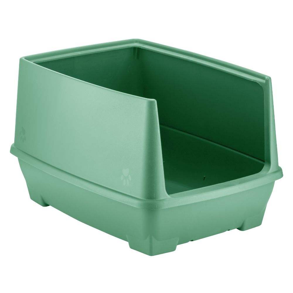 สีเขียว