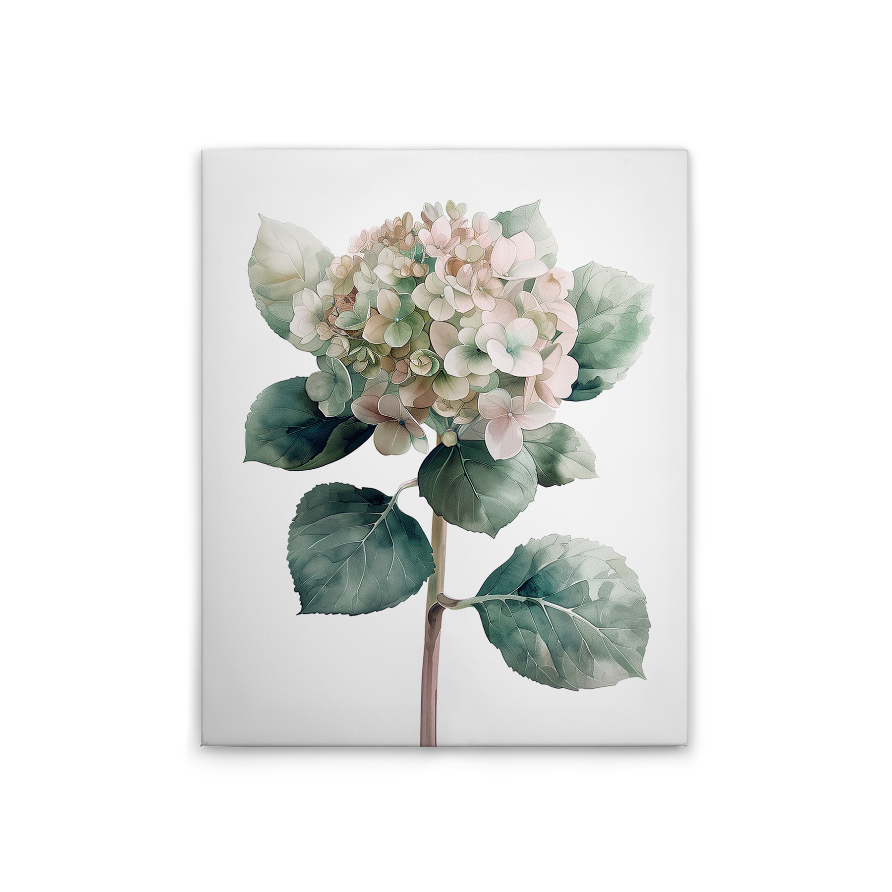 Vert, Blanc, Rose