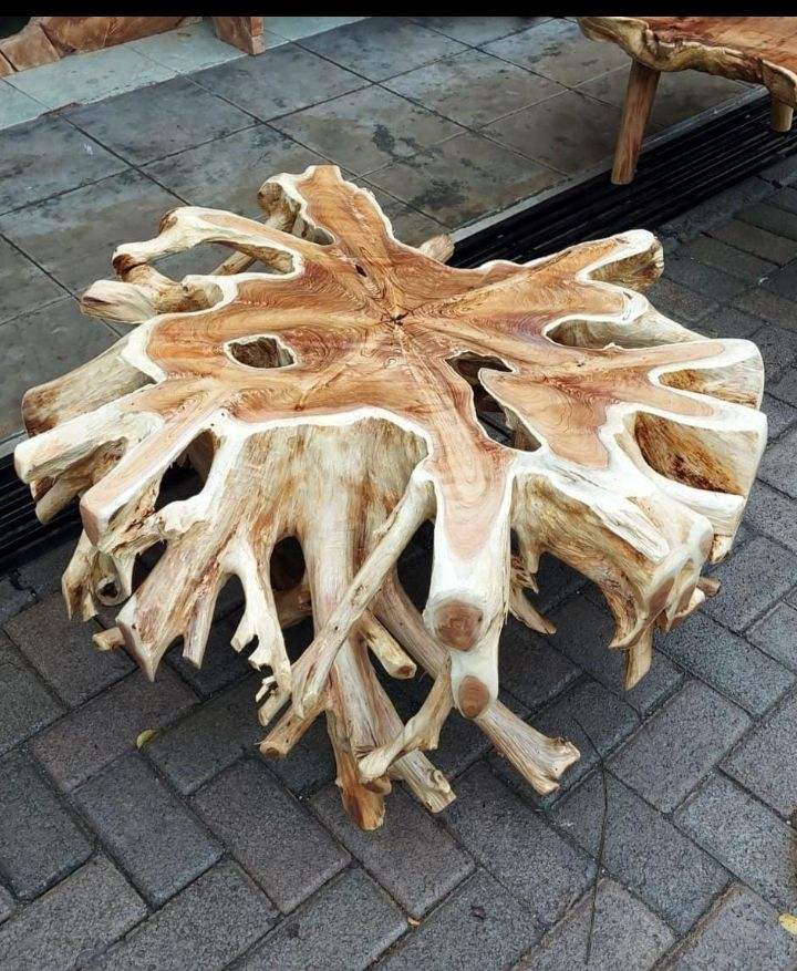 Teak Root Bleaching