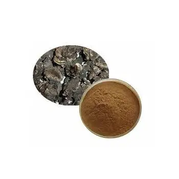 Pabrik grosir bubuk ekstrak Cohosh hitam grosir kualitas tinggi suplemen kesehatan alami Brownish 2.5% hitam Cohosh Extrac