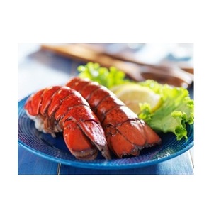批发冷冻龙虾尾-冷冻龙虾供应商，冷冻龙虾肉