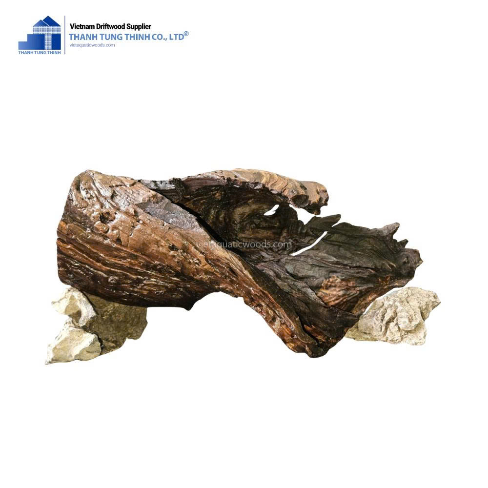 สีน้ำตาล