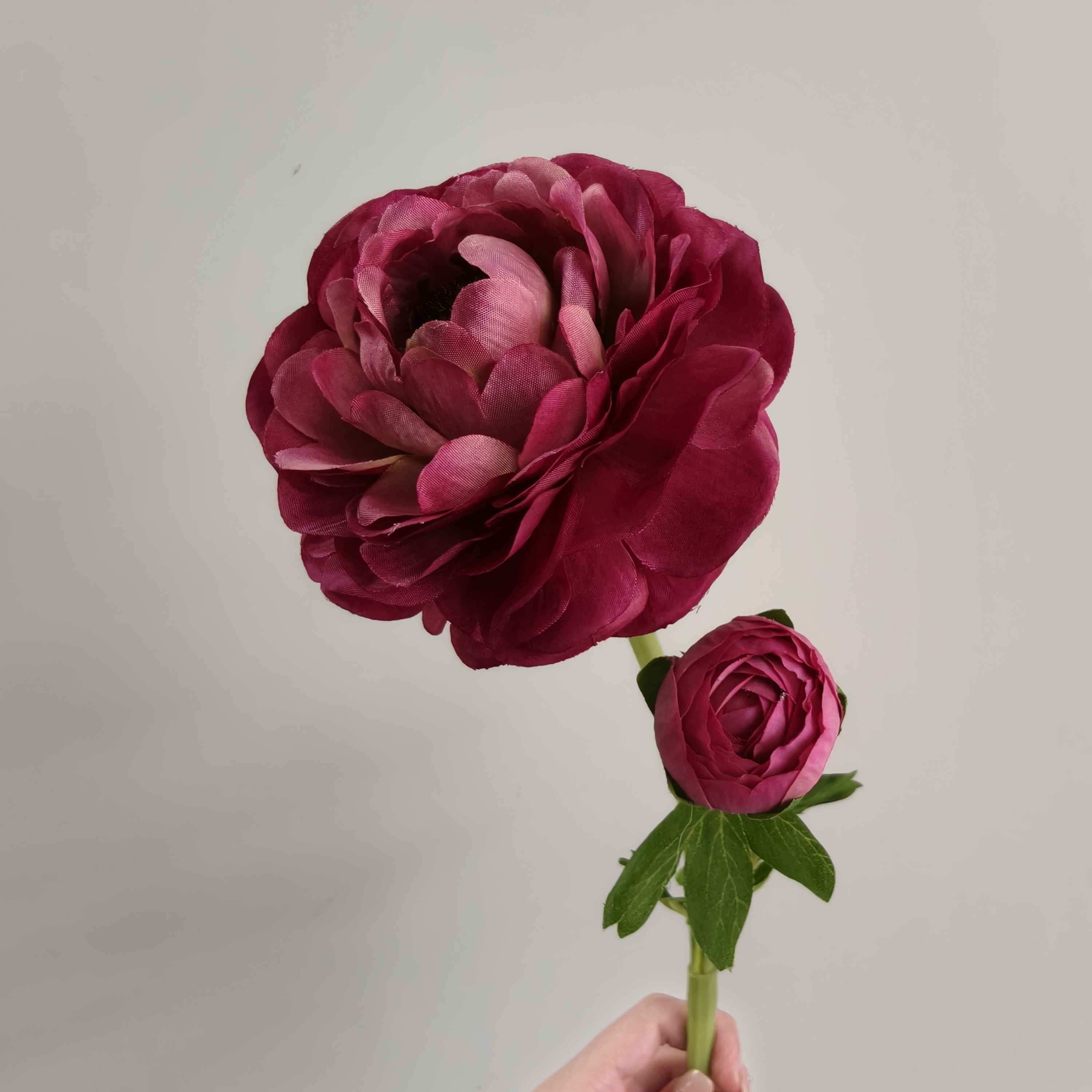 2-head purple lotus single branch