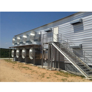 Kế hoạch xây dựng trang trại gia cầm Gà trang trại nhà để 10000 gà chuồng gà thương mại - Product Image 5