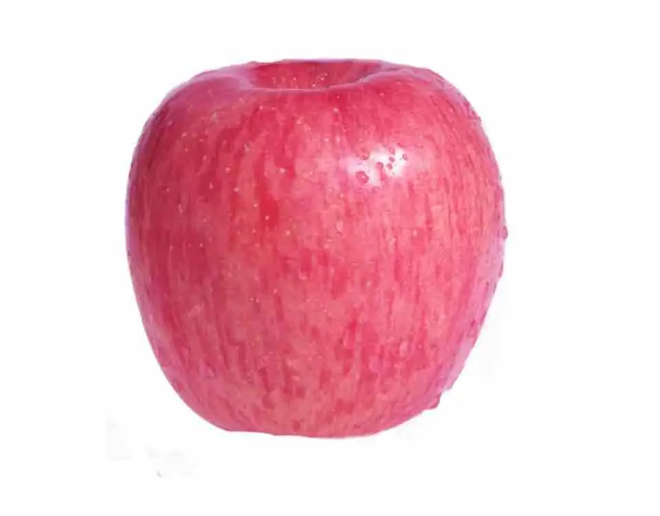 Red Star Apple Süßer frischer grüner Apfel Lebensmittel qualität rot 8cm 20kg Karton 25 Tonnen Obst farmen Gala frischer grüner Apfel