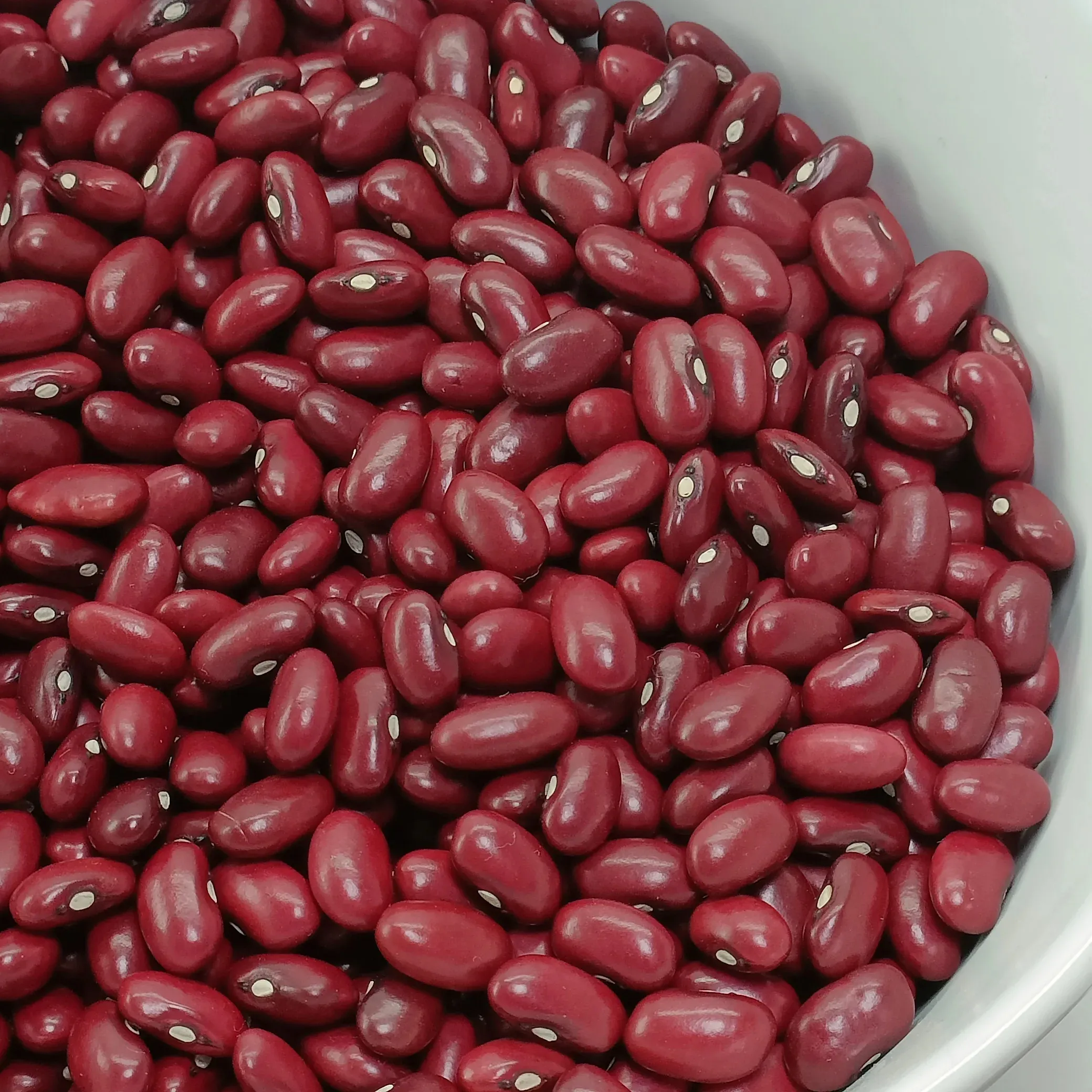 Fresh Crop 2024 Color Sorter Machine Top Grade Red Kidney Beans, Bulk Available Ethiopian Origin Hand-picked