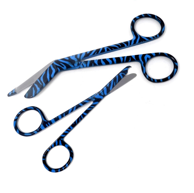 Blue Black Zebra