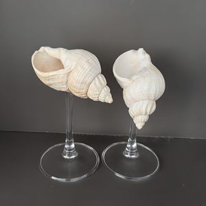 Ev çubukları ve tatil yerleri için otantik kabuklu deniz hayvanı kabuğu taban ve kristal berraklıkta cam üst ile Artisan hazırlanmış şarap bardağı - Product Image 5