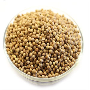 Düşük fiyatlarla toplu ihracat için mevcut mutfak kullanımı için otantik baharat sınıfı taze ham kişniş - Product Image 1