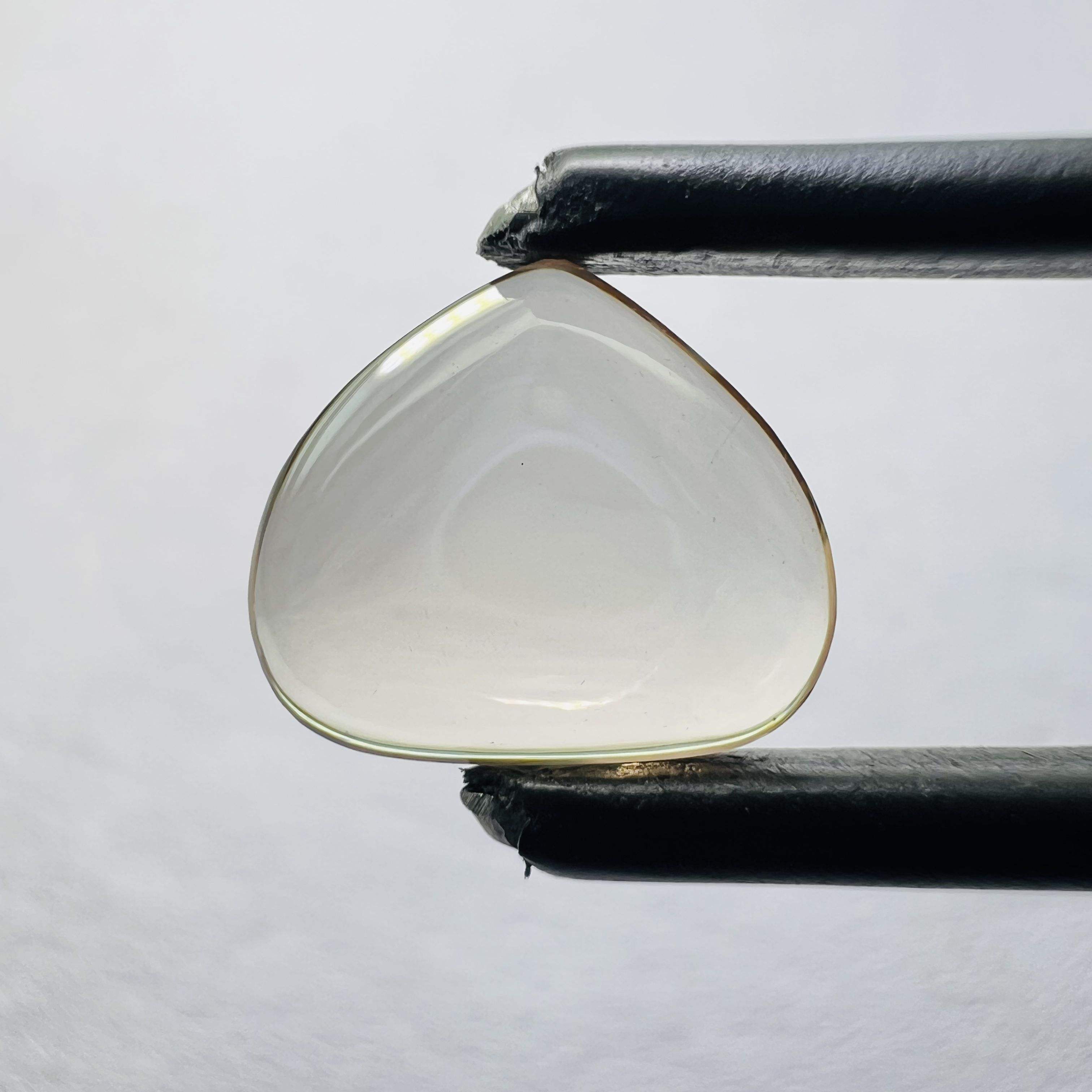 Comme spectacle dans l'image