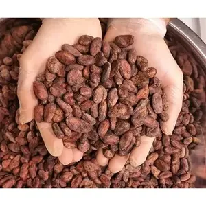 出售晒干的生可可豆