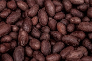 可可豆干和烤可可豆各种加工类型 - Product Image 6