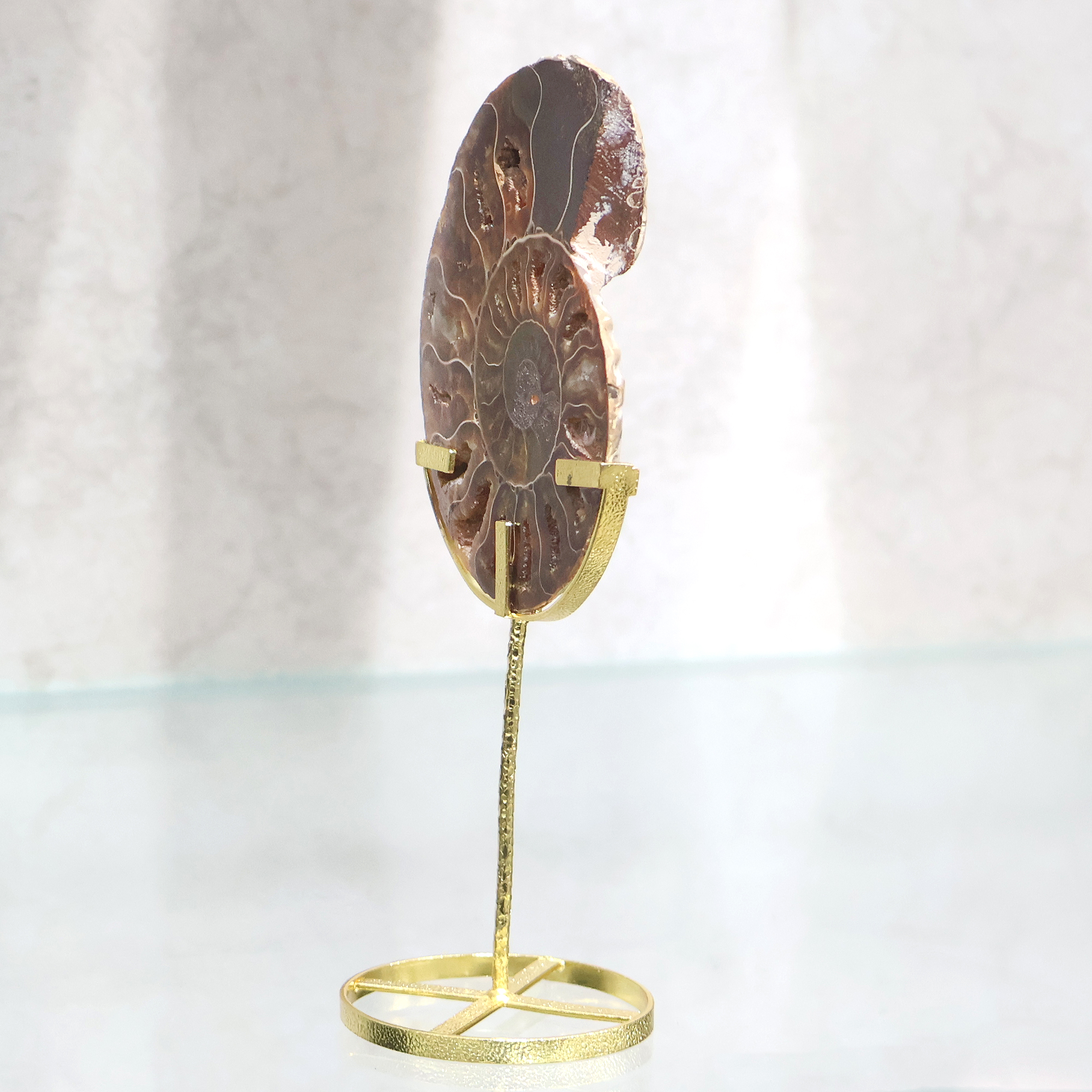 Escultura fósil de amonita natural decoración del hogar textura de concha fosilizada soporte dorado de metal decoración del hogar regalo espécimen de concha fósil - Product Image 4