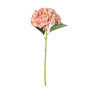 Mô phỏng đám cưới hoa cẩm tú cầu hoa lụa tuyết bướm mô phỏng lớn đơn tú cầu bó hoa đám cưới trang trí cảnh - Product Image 5