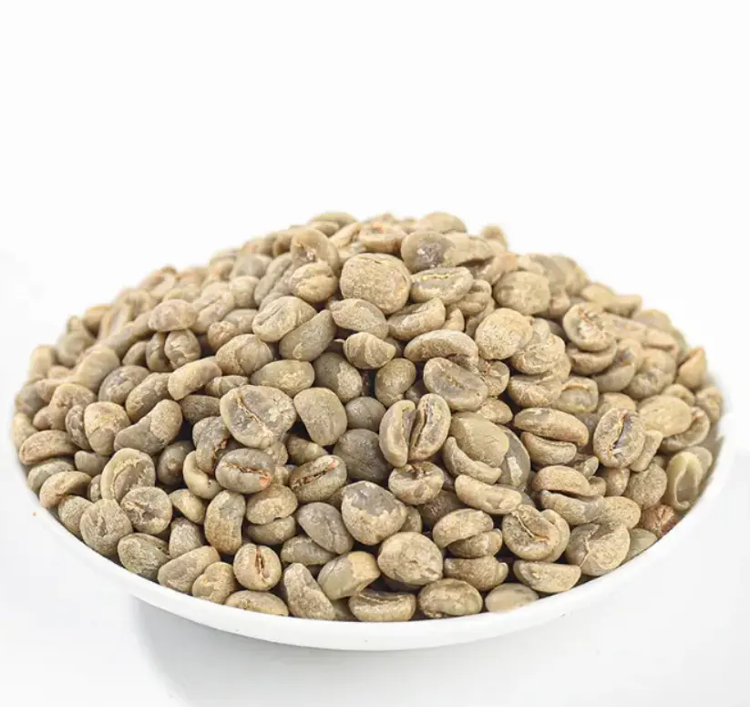 100% 로부스타 그린 커피 콩 수출 프랑스에서 높은 달콤한 균형 커피
