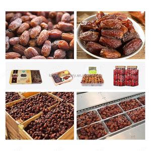CE Certification <strong>Date</strong> Palm Washing Drying Grading <strong>Sorting</strong> <strong>Machine</strong> Industrial <strong>Dates</strong> Processing <strong>Machine</strong> - Product Image 3
