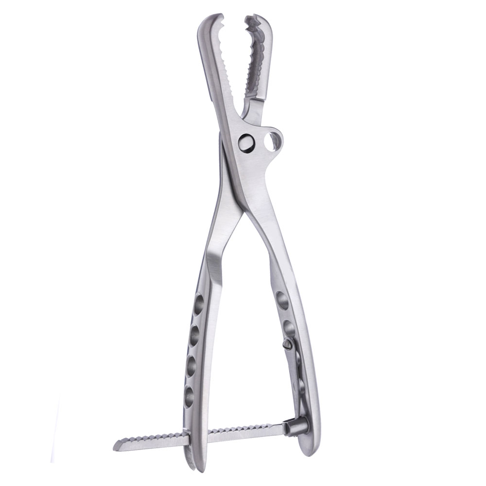 Kern Bone Holding Forceps