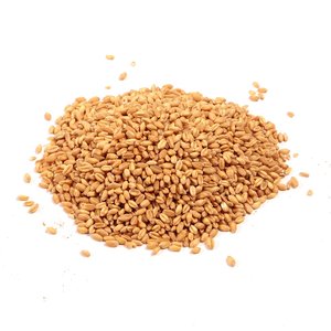 Küresel alıcılar un üreticileri ve gıda işleme şirketleri için toplu miktarda mevcut gdo olmayan buğday - Product Image 1