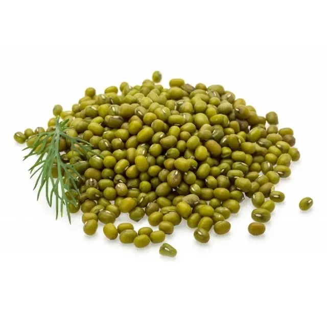 Vente entière Haricot mungo vert Moong dal sprout Ukraine haricots mungo à vendre