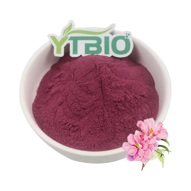 YTBIO Fornece Extrato de Flor de Hibisco Puro em Pó