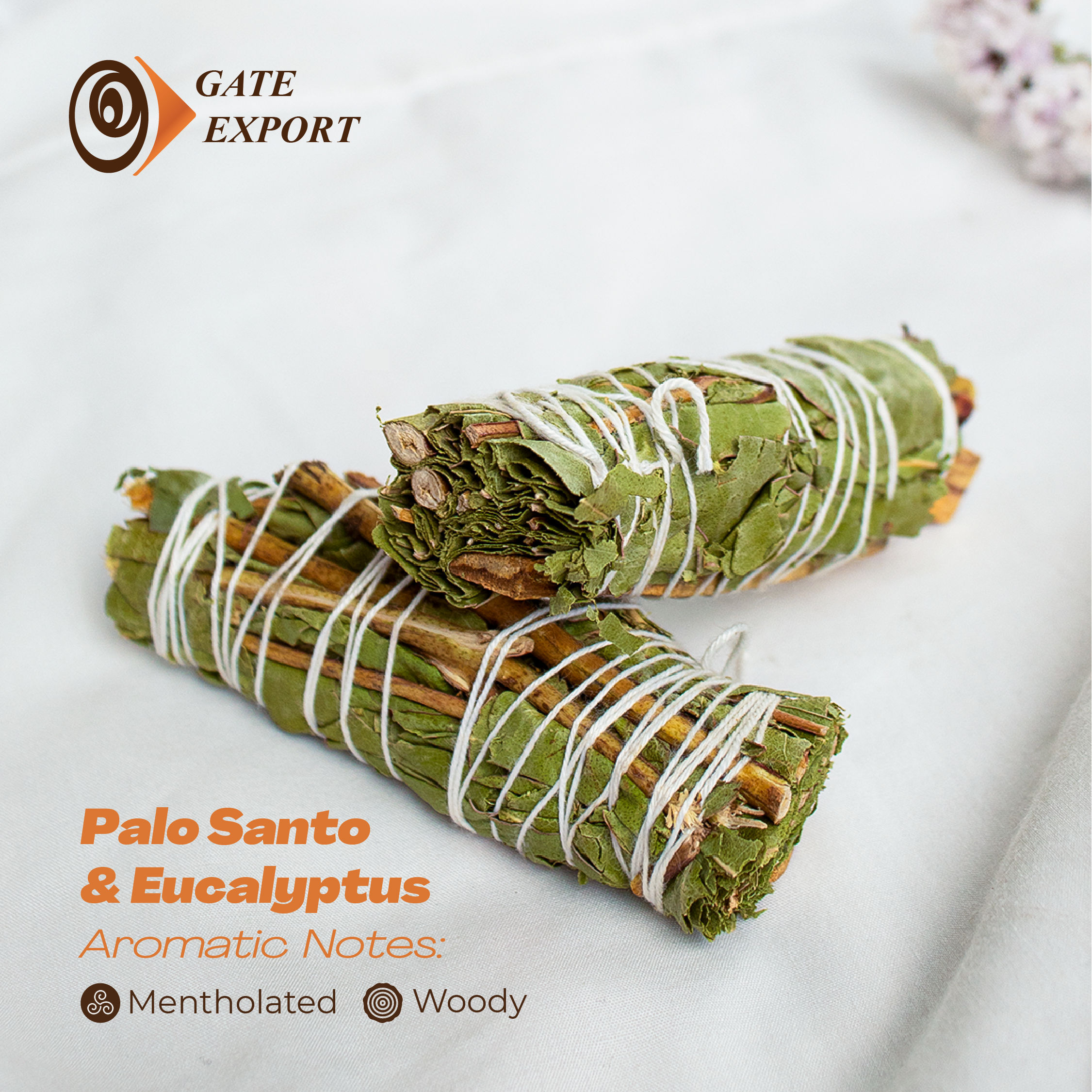 Palo Santo & ยูคาลิปตัส