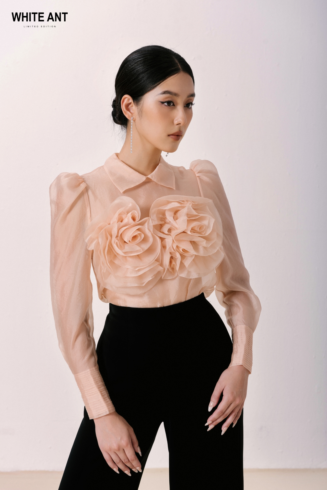 กุหลาบครีม