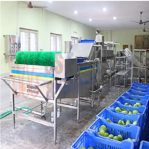 Mango Pack House Planta de procesamiento de mango en base de llave en mano Equipo de máquina de procesamiento de mango