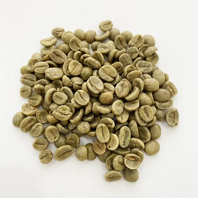 최고 품질 녹색 커피 콩 아라비카와 로부스타 최고 품질 구운 로부스타 커피 콩 학년 1 최고의 커피 빈 100%