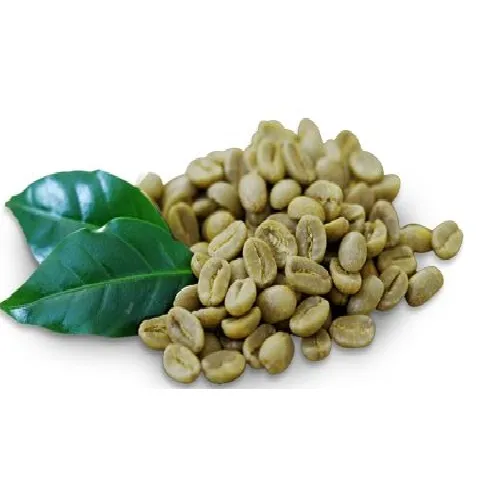 최고 제품 robusta 녹색 커피 원두 도매 베트남에서 천연 벌크 녹색 콩 커피 베스트 셀러 2 년 유통 기한