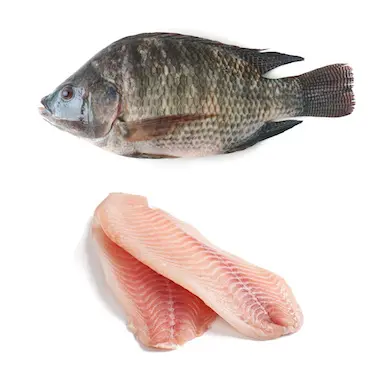 Pesce Tilapia congelato/fresco intero rotondo prezzo all'ingrosso di buona qualità