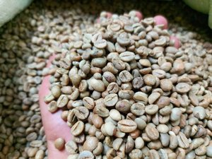 UPDATE NEW PRICE of <strong>COFFEE</strong> FROM VILACONIC_ EXPORT <strong>COFFEE</strong> to ALL OVER the WORLD_ MRS JENIFER VILACONIC - Product Image 3