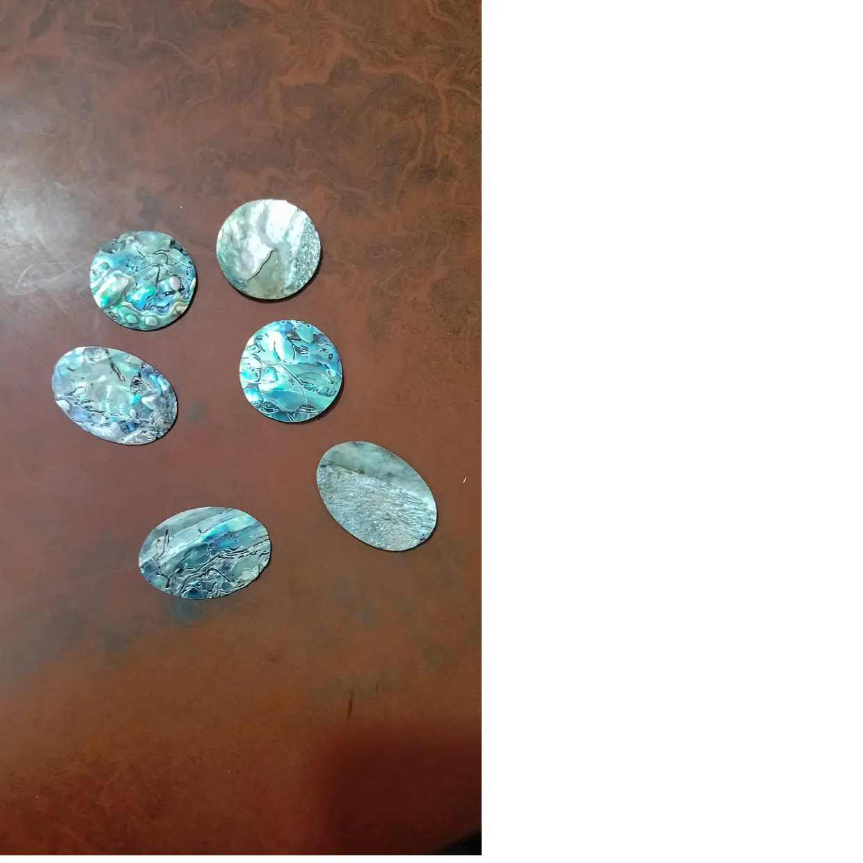 Discos de concha de mãe de pérolas, polidos de conchas de abano verdadeiro, adequados para resale por designers de joias e lojas de miçangas
