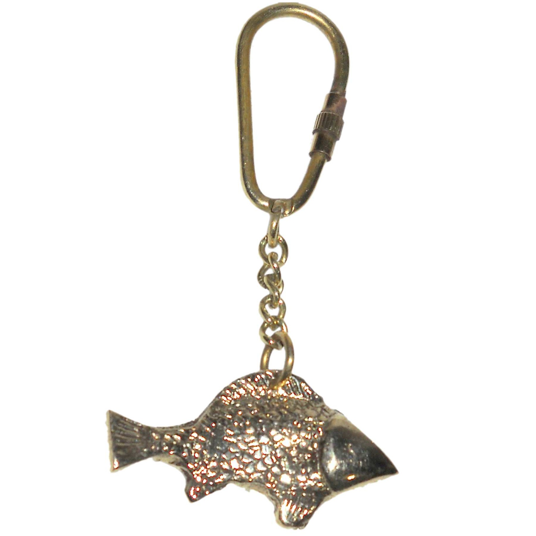 ตามที่แสดง