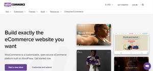 Servizi di sviluppo Web di E-Commerce per lo sviluppo di siti Web del negozio Online con carrello