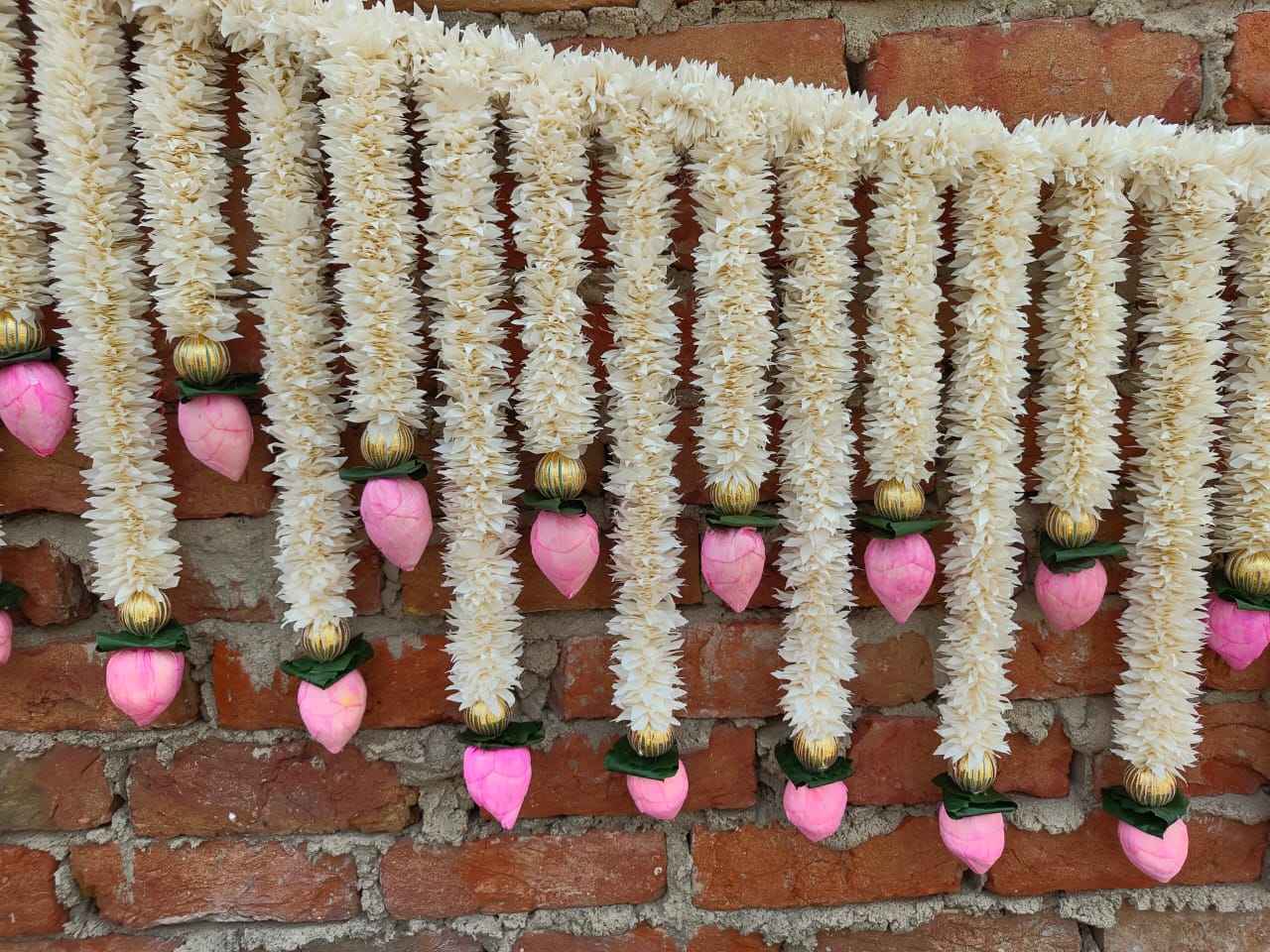 สีขาว, ชมพู