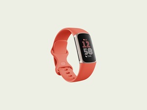 Fitbit Google Charge 6アクティビティトラッカー、8GB ROM 4GB RAM 16GBフラッシュ、Androidオペレーティングシステム用利用可能英国EUプラグタイプ