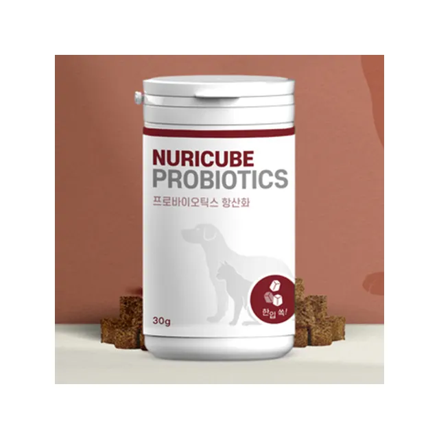 Nuricubeプロバイオティクス抗酸化凍結乾燥タイプペットの健康腸用プロバイオティクスサプリメントKOTRA