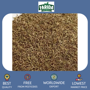 Premium Quality <strong>Egypt</strong> Origin Export 100% Pure and Dried Raw Single Spices Product Egyptian Cumin Seeds for Bulk Purchase - Product Image 2