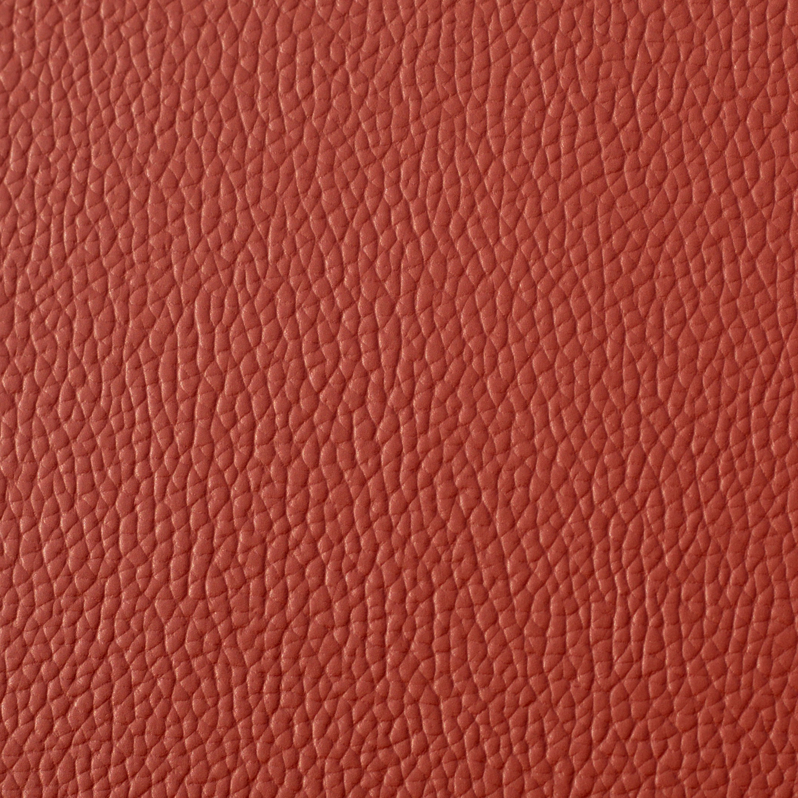 LT BROWN 04 EMB - M 53