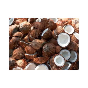 Noci di cocco fresche di grado esportato raccolte al massimo della maturazione per un gusto ottimale - Product Image 4