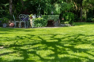 Premium Festuca rubra trichophylla & kuat merayap merah benih fescue. Pembentuk toleransi garam tinggi dengan cepat. (Greenlight DLF) - Product Image 2