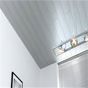 Soffit pvc tavan panelleri pvc tavan paneli pvc linyi - Product Image 6