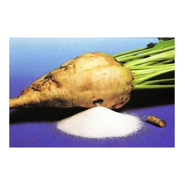 Сахарная свекла высокого качества, Прямая поставка по лучшей цене | Высококачественная Белая свекла, сахар оптом, свежие запасы, доступные для экспорта