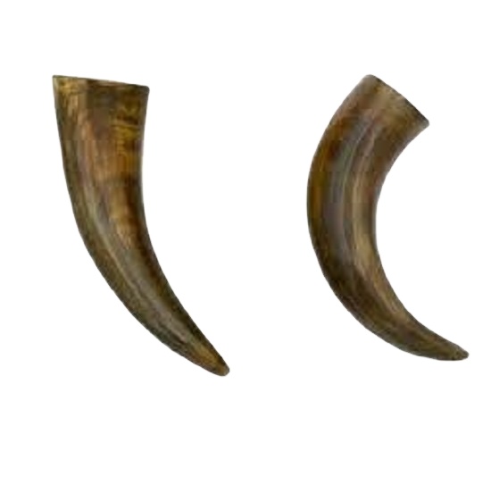 ธรรมชาติ