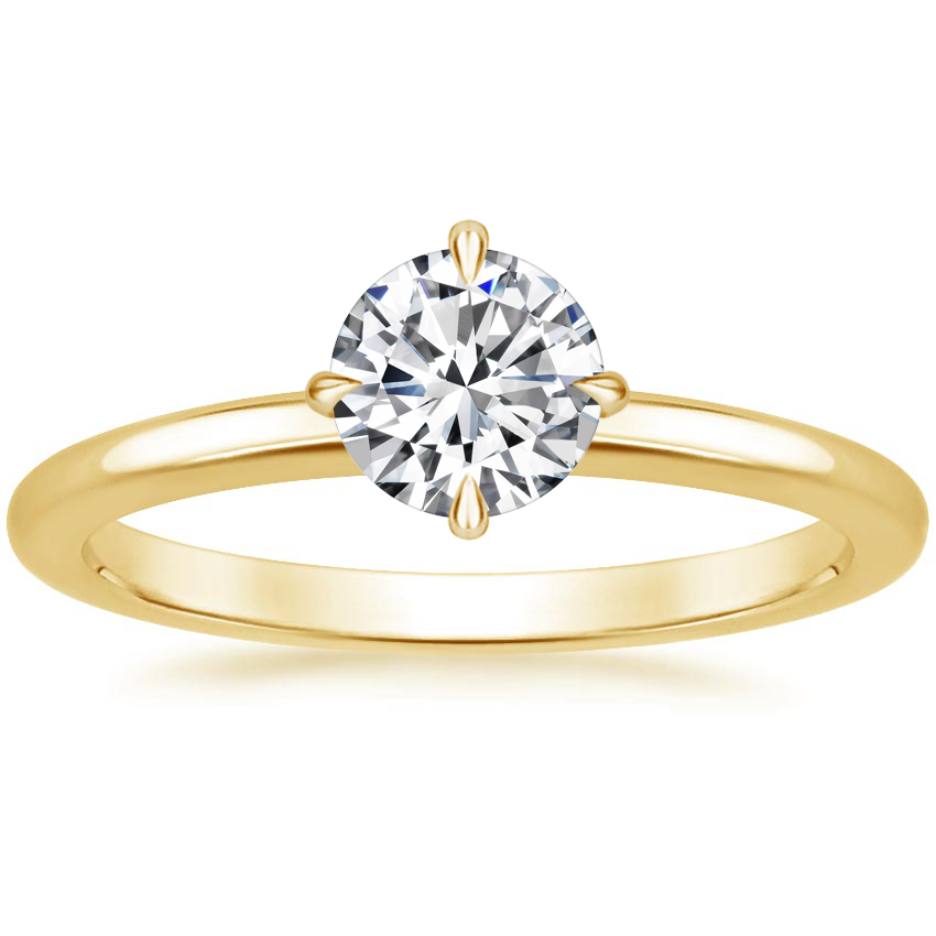 Rose d'or