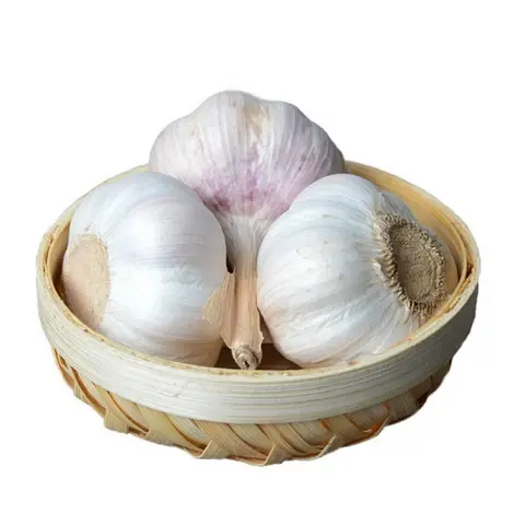 Fresh White Garlic/Natural Garlic Wholesale Price